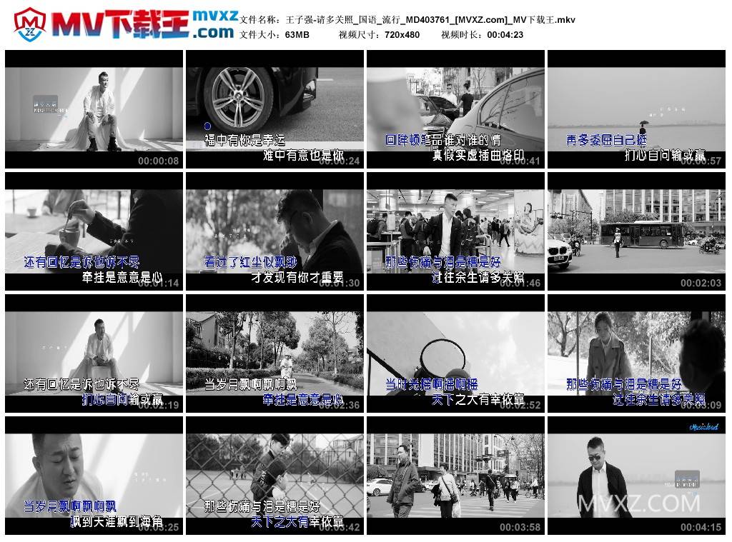 王子强-请多关照_国语_流行_MD403761